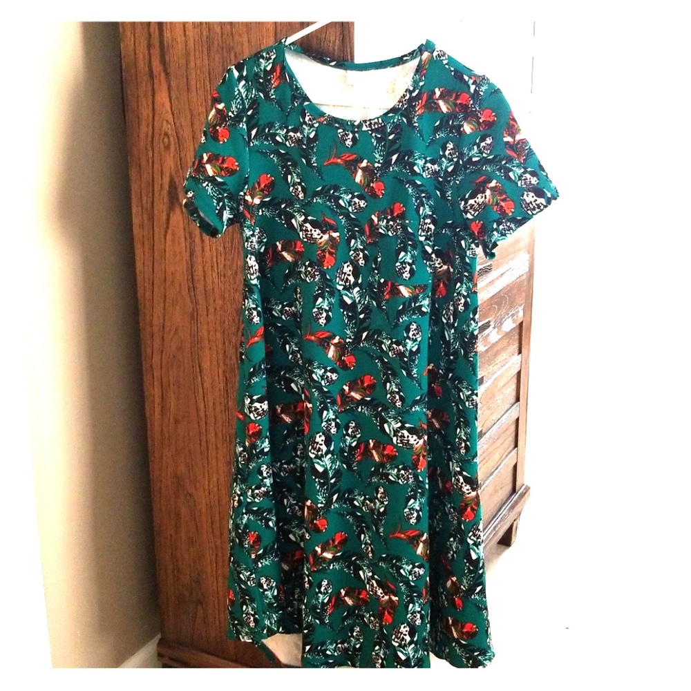 LulaRoe XS Carly
